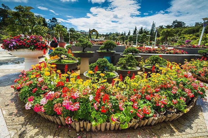 Nha Trang to Da Lat - Private Transfer - Explore the Journey