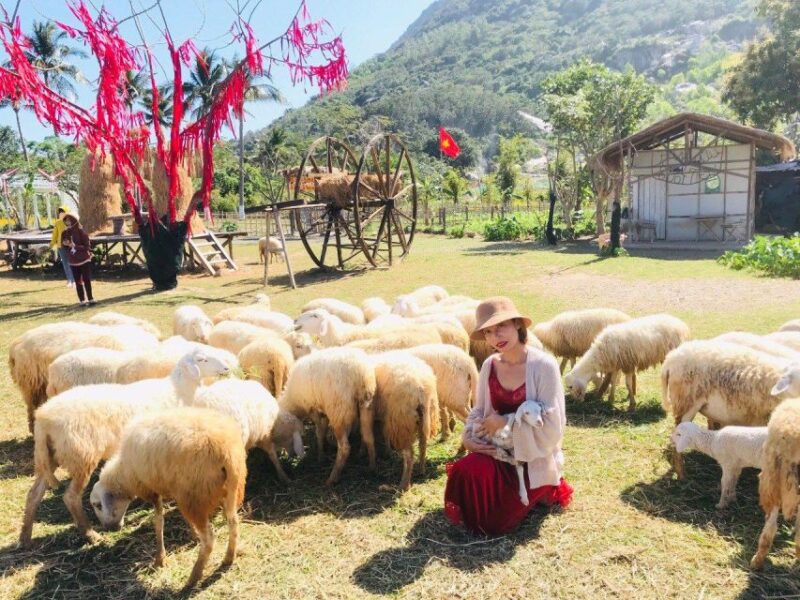 Nha Trang: Top Sightseeing Tanyoli Sand Hill & Spa Mud Bath - Activity Options