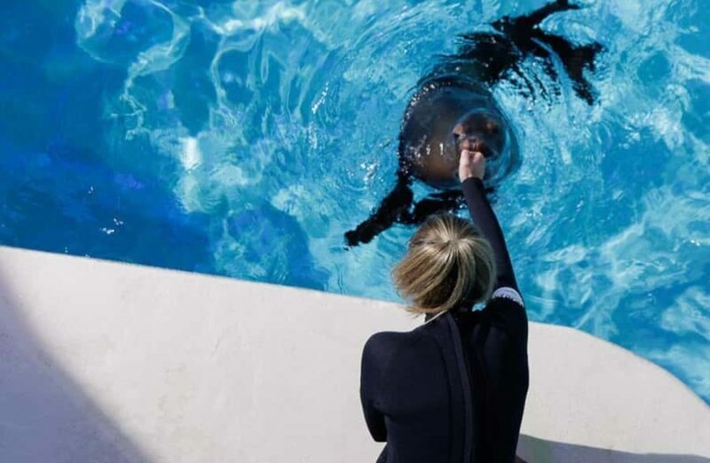 Niagara: Aquarium of Niagara General Admission - A Closer Look at What to Expect at the Aquarium of Niagara