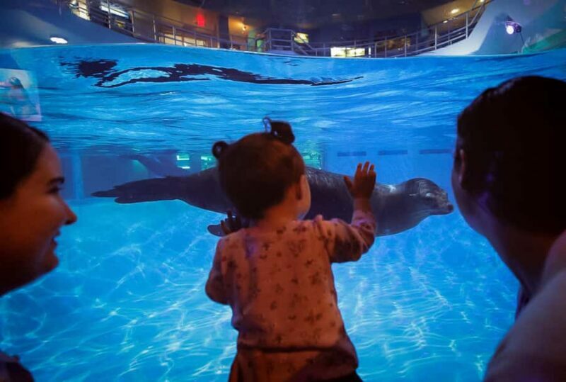 Niagara: Aquarium of Niagara General Admission - Final Thoughts: Is It Worth It?