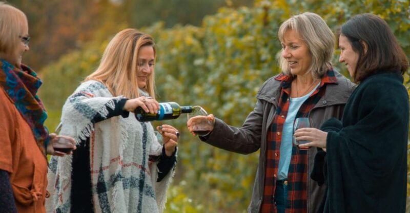 Niagara, Canada: Half-Day Winery Tour With Tastings - Experience Highlights
