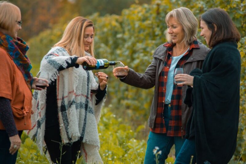 Niagara, Canada: Half-Day Winery Tour With Tastings - Experience and Itinerary