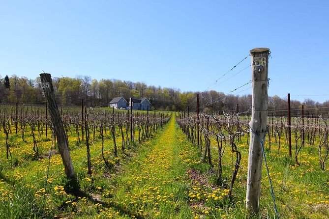 Niagara County Wine Tour and Tasting - Scenic Niagara County Wineries