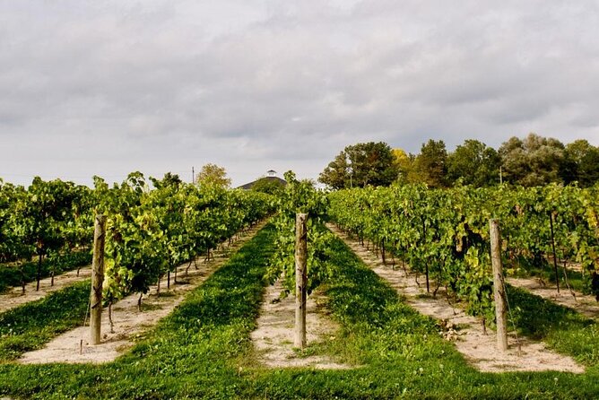 Niagara County Wine Tour and Tasting - Tasting and Sampling Offerings