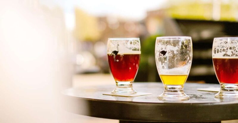 Niagara Craft Brewery Tour Niagara Falls - Guided Insights