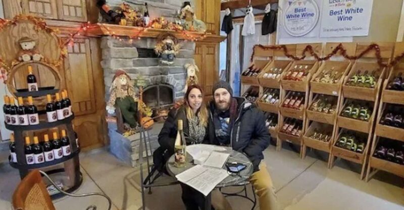 Niagara Falls: All-Inclusive Small-Group Boutique Wine Tour - Wineries Visited