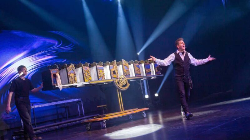 Niagara Falls, Canada: Wild Magic Show Ticket - The Sum Up