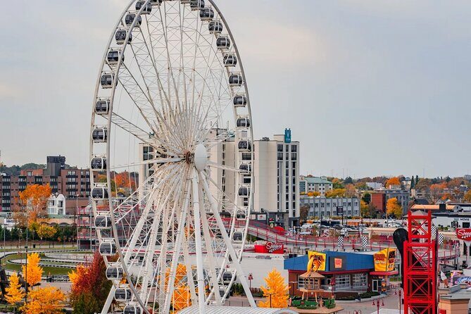 Niagara Falls Eco Walking Tour with Boat Cruise - Who Should Book This Tour?