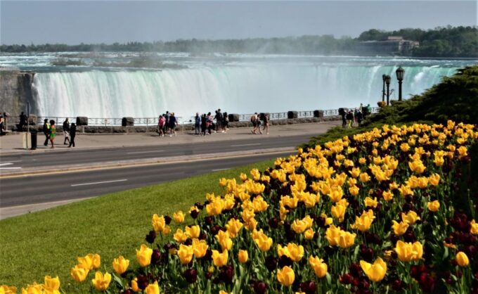 Niagara Falls: Evening Tour - Unobstructed View of Canadian Horseshoe Falls