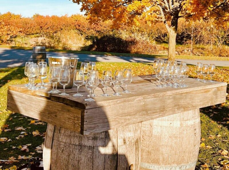 Niagara Falls: Luxury Private Tour With Winery Stop - Key Points