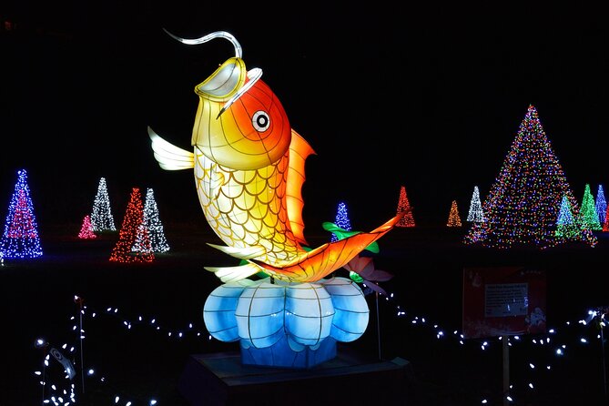 Niagara Falls Night Illumination Tour: Holiday Edition - Traveler Reviews and Feedback