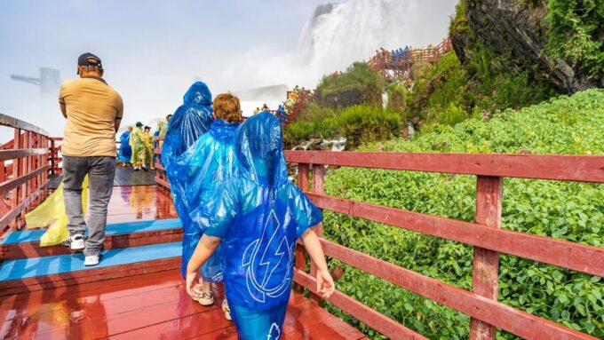 Niagara Falls: USA and Canada Tour With Boat Cruise + Lunch - Skylon Tower Buffet Lunch
