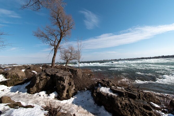 Niagara Falls USA- Winter Wonderland/State Park Tour W/Ride - Tour Reviews