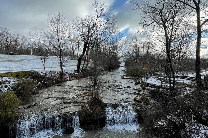 Niagara Falls USA- Winter Wonderland/State Park Tour W/Ride - Memorable Experiences