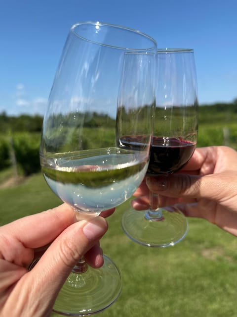 Niagara Falls Wine Tour From Toronto on RV - Motorhome - Included Amenities and Booking
