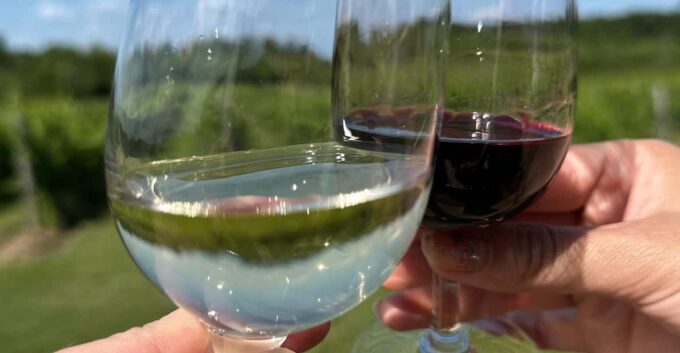 Niagara Falls Wine Tour From Toronto on RV - Motorhome - Frequently Asked Questions