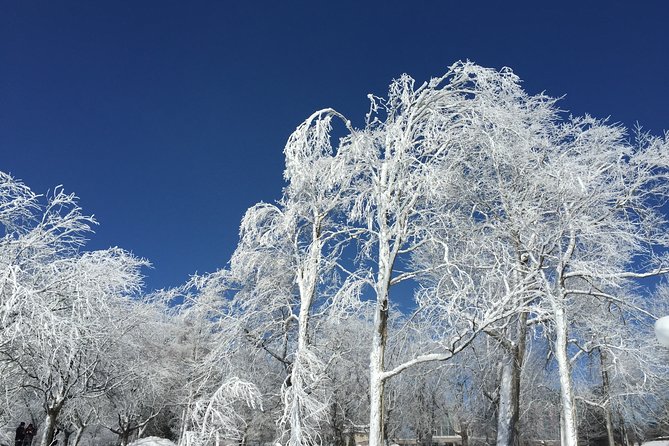 Niagara Falls Winter Wonderland USA Tour (Small Groups) - Explore Niagara Falls in Winter