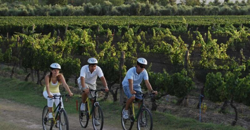 Niagara-On-The-Lake: Bicycle Tour With Wine Tasting - Winery Experiences
