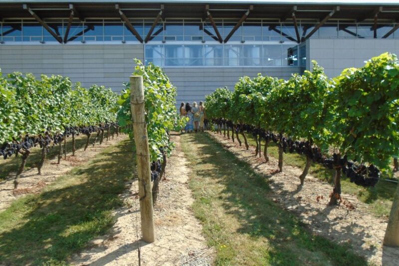 Niagara-on-the-Lake/Niagara Falls: Private Custom Day Trip - Key Points