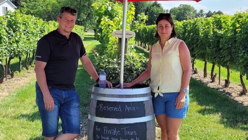 Niagara-On-The-Lake: Sunset Wine Tour With Dinner - Key Points