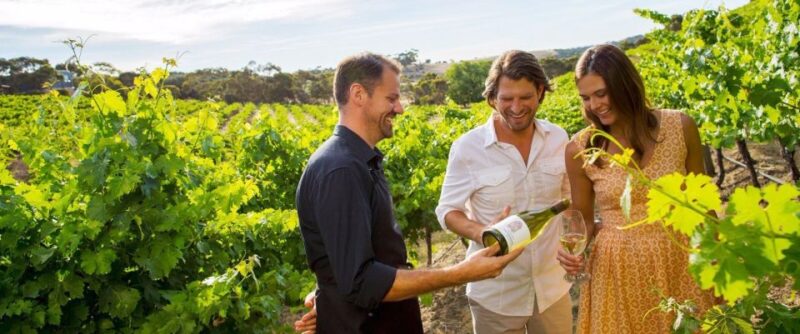 Niagara-On-The-Lake: Sunset Wine Tour With Dinner - Inclusions and Exclusions