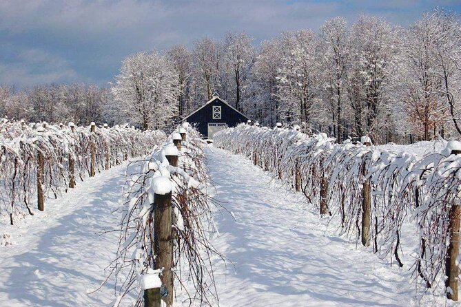 Niagara Wine Tour and Tastings With Included Transportation - Purchase Favorite Bottles