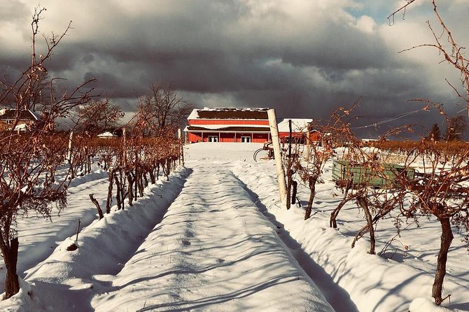 Niagaras Decadent Sparkling and Icewine Tasting - Highlights of the Tasting