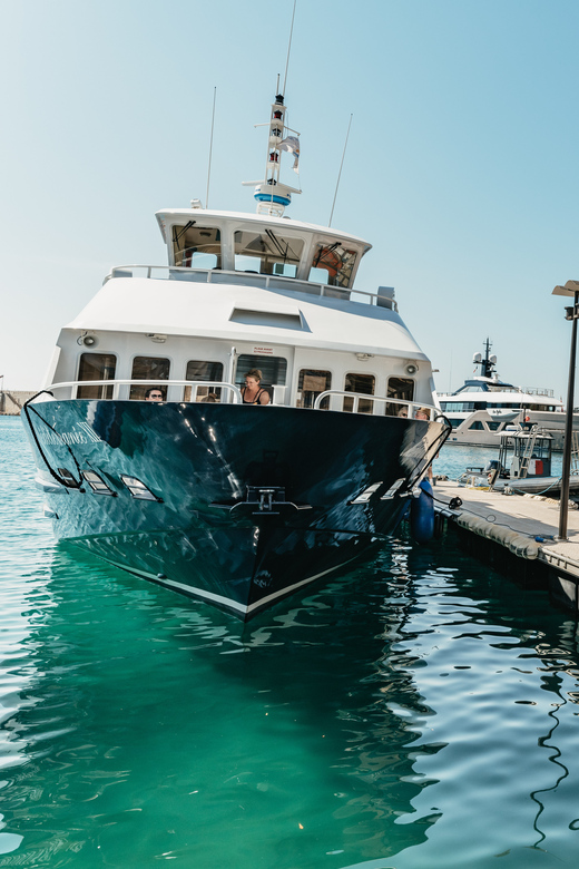 Nice: 1-Hour Sightseeing Cruise to Villefranche Bay - Villefranche-sur-Mer: The Charming Fishing Port