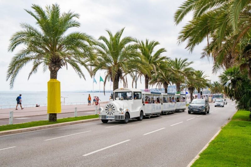 Nice: a Gentle Ride on a Little Electric Train With a Panoramic View - Tour Highlights