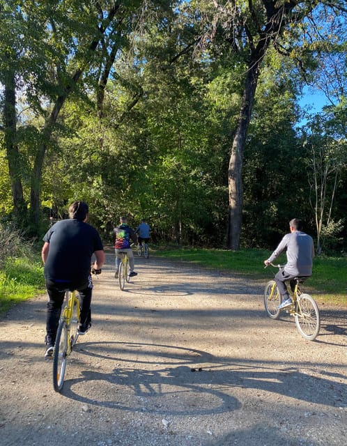Nice: Adventure Park in an Exceptional Natural Setting - Pricing and Cancellation Policy
