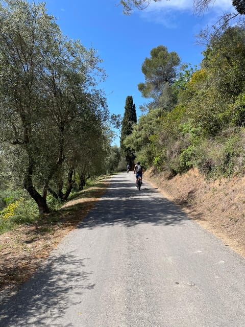 Nice: Bellet Vineyards E-Bike Tour With Wine Tasting - Key Points