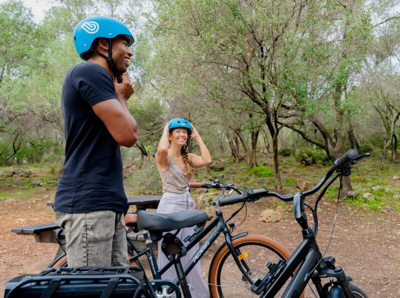 Nice: Bellet Vineyards E-Bike Tour With Wine Tasting - Participant Restrictions