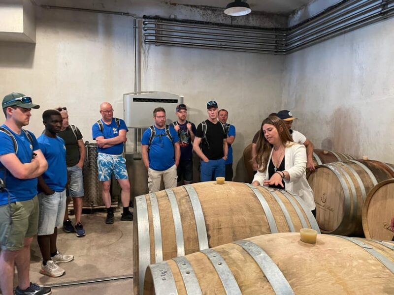Nice: Bellet Vineyards E-Bike Tour With Wine Tasting - Exploring Bellet Vineyards