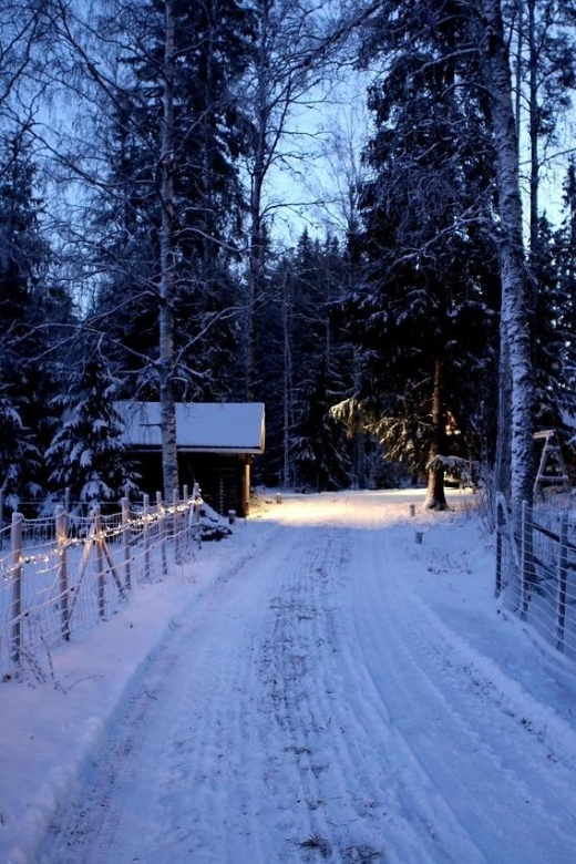 Nice: Christmas Market Walking Tour - Exploring Charming Old Town