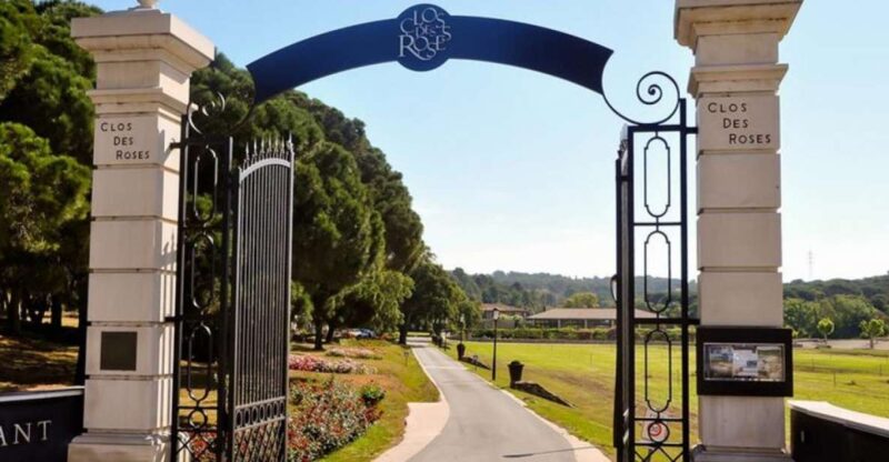 Nice: Clos Des Roses Wine Tasting and Lunch - Vineyards and Cellar Tour