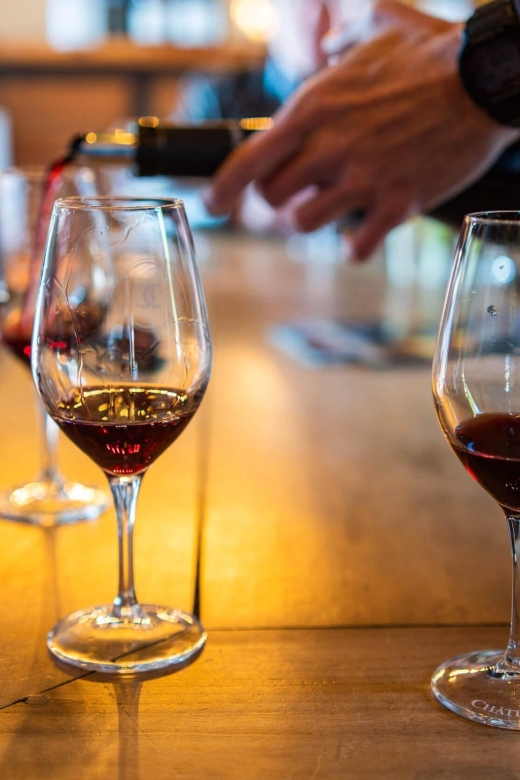 Nice: E-Bike Highlights Tour With Local Wine Tastings - Restrictions
