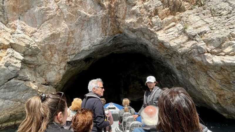 Nice: Monaco, Mala Caves, & Bay of Villefranche Boat Tour - Guided Tour of Monaco