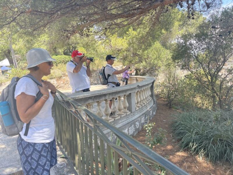 Nice: Old Town & Castle Hill Informative Guided Walking Tour - Key Points