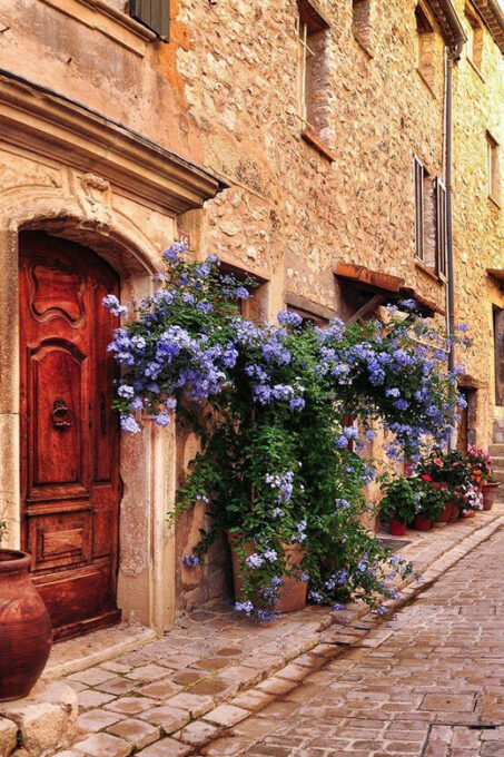 Nice: Old Town Highlights Walking Tour - Frequently Asked Questions