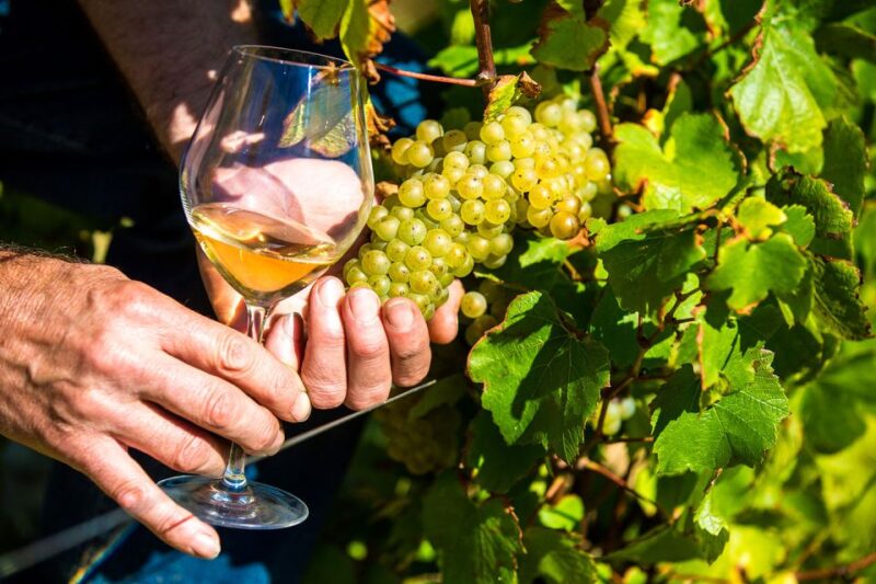 Nice: Provence Village Tour With Wine and Produce Tasting - Highlights of the Tour
