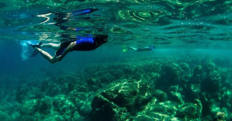 Nice: Speedboat Day Trip With Snorkeling in Villefranche Bay - Exploring the Mediterranean Marine Life