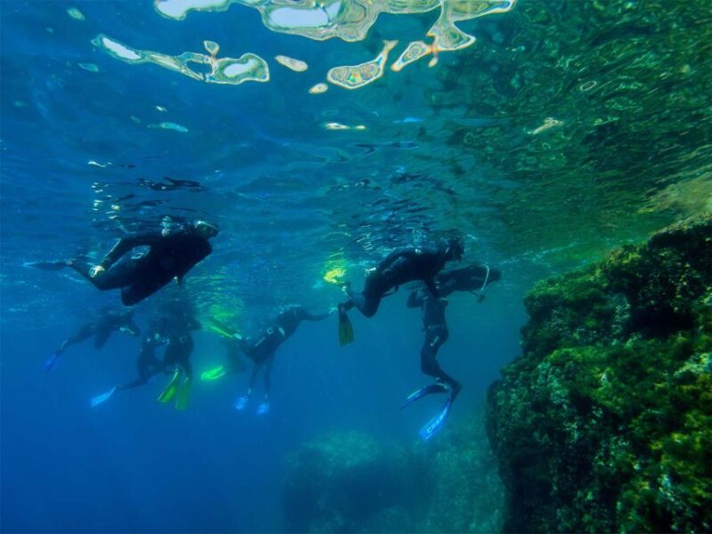 Nice: Speedboat Day Trip With Snorkeling in Villefranche Bay - Snorkeling With Certified Diving Instructor