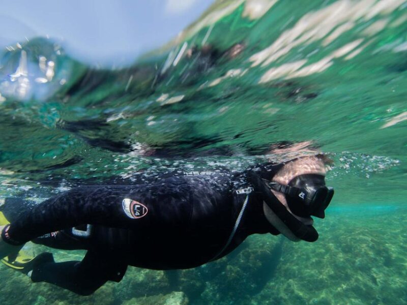 Nice: Speedboat Day Trip With Snorkeling in Villefranche Bay - Admiring the Cape of Nice