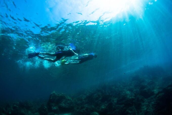 Nice: Speedboat Day Trip With Snorkeling in Villefranche Bay - Boat Trip Inclusions