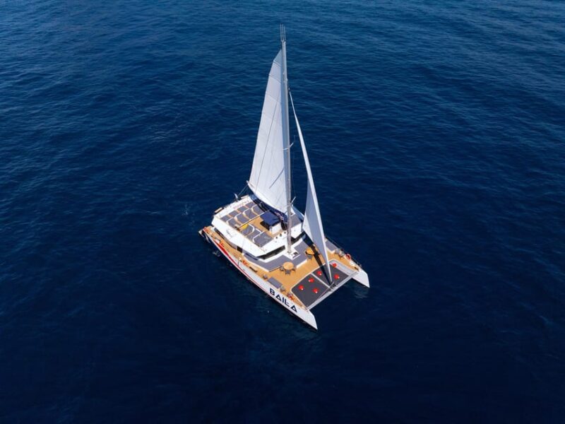 Nice : the Morning Discovery at Sea, Guided Tour of the Coastline on a Catamaran - Key Points