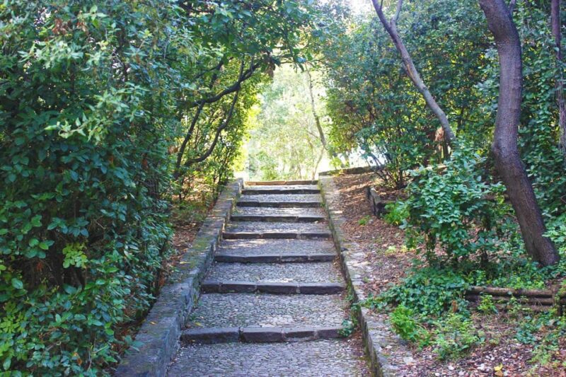 Nice: Theatrical History Tour - Secrets of the Castle Hill - Exploring Castle Hills Hidden Gems