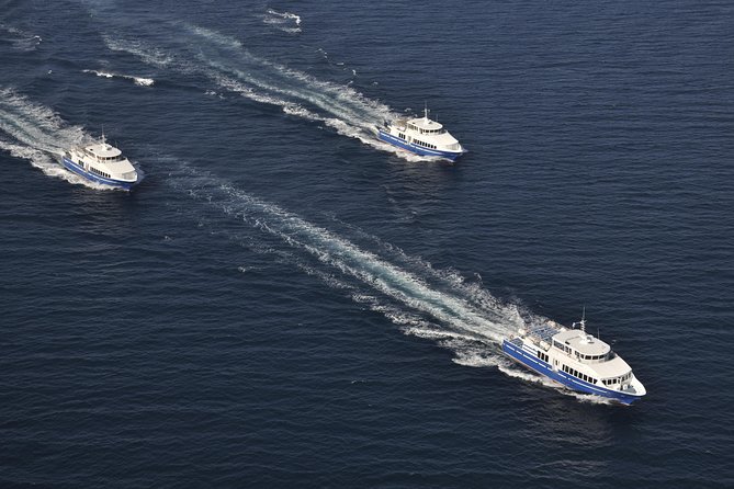 Nice to St Tropez Ferry Ticket and Cruise - Accessibility and Transportation