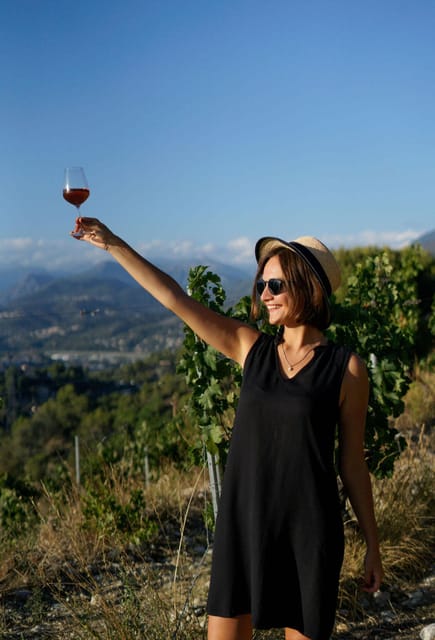 Nice: Vineyard Tour With Wine Tasting - Highlights of the Experience
