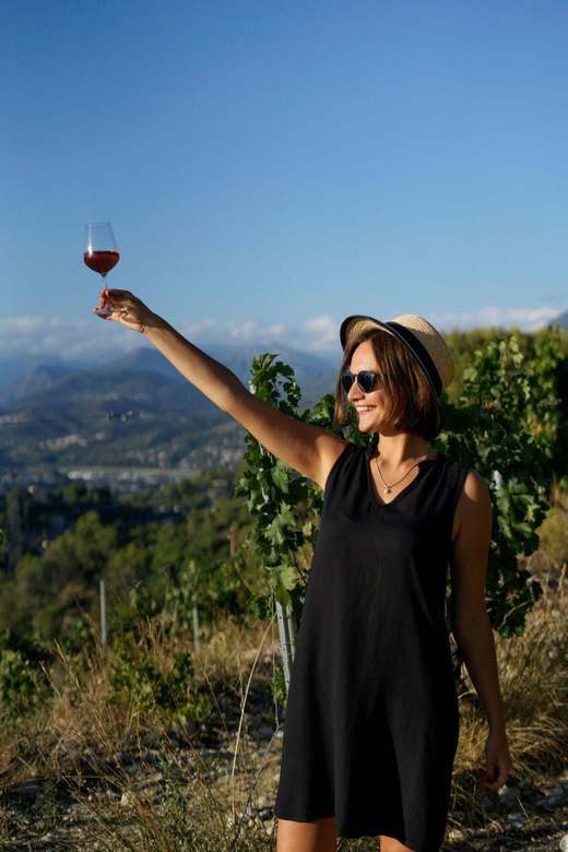 Nice: Vineyard Tour With Wine Tasting - Age Restrictions and Recommendations