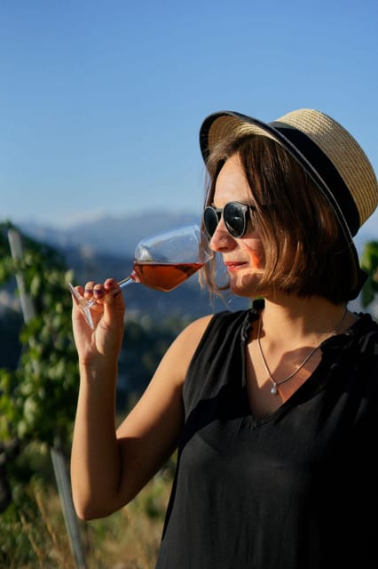 Nice: Vineyard Tour With Wine Tasting - Winemaking Process and Wines
